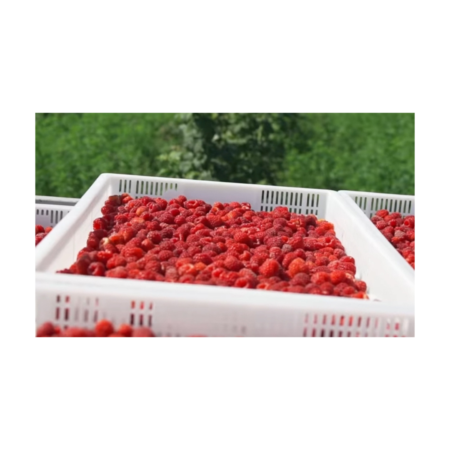 Білий ящик для зберігання харчових продуктів ST6407-3000 - фото 2 Білий ящик для зберігання харчових продуктів ST6407-3000 - фото - продукция компании ВСВ-Групп